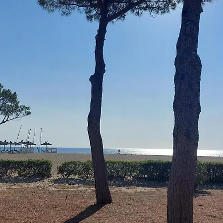 Appartamento 50 M Plage, Vue